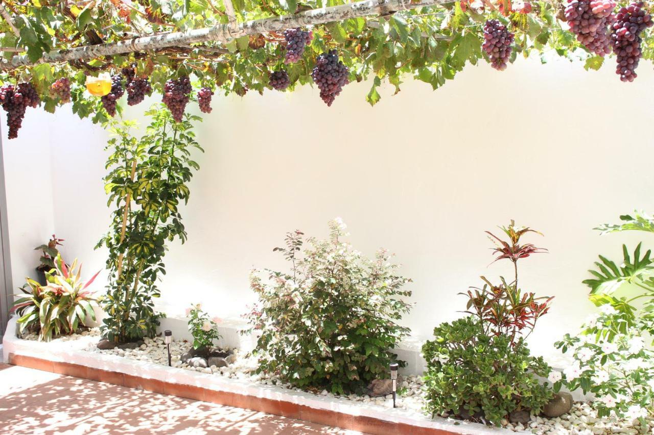 Vila Casa Carmela Agaete  Exteriér fotografie