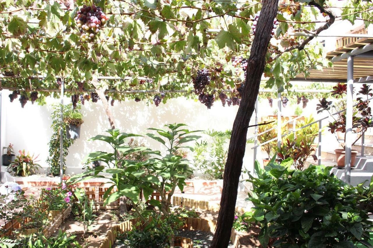 Vila Casa Carmela Agaete  Exteriér fotografie
